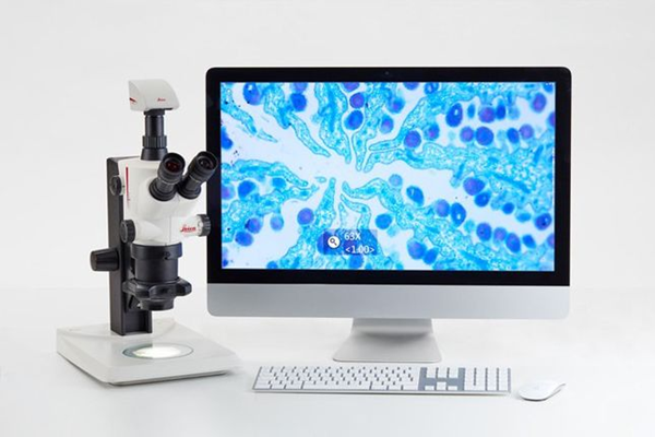 S APO 常規體視顯微鏡